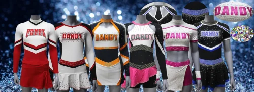 dandysportsfactory banner